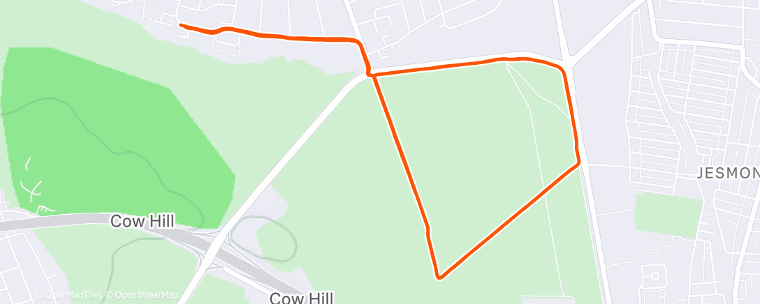 Map of the activity, Evening Run