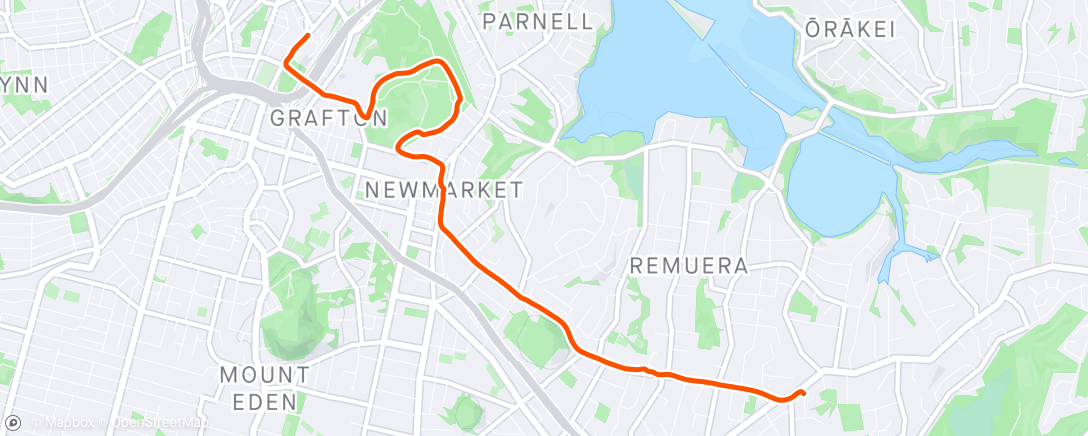 Map of the activity, Commute run 🤟🏻