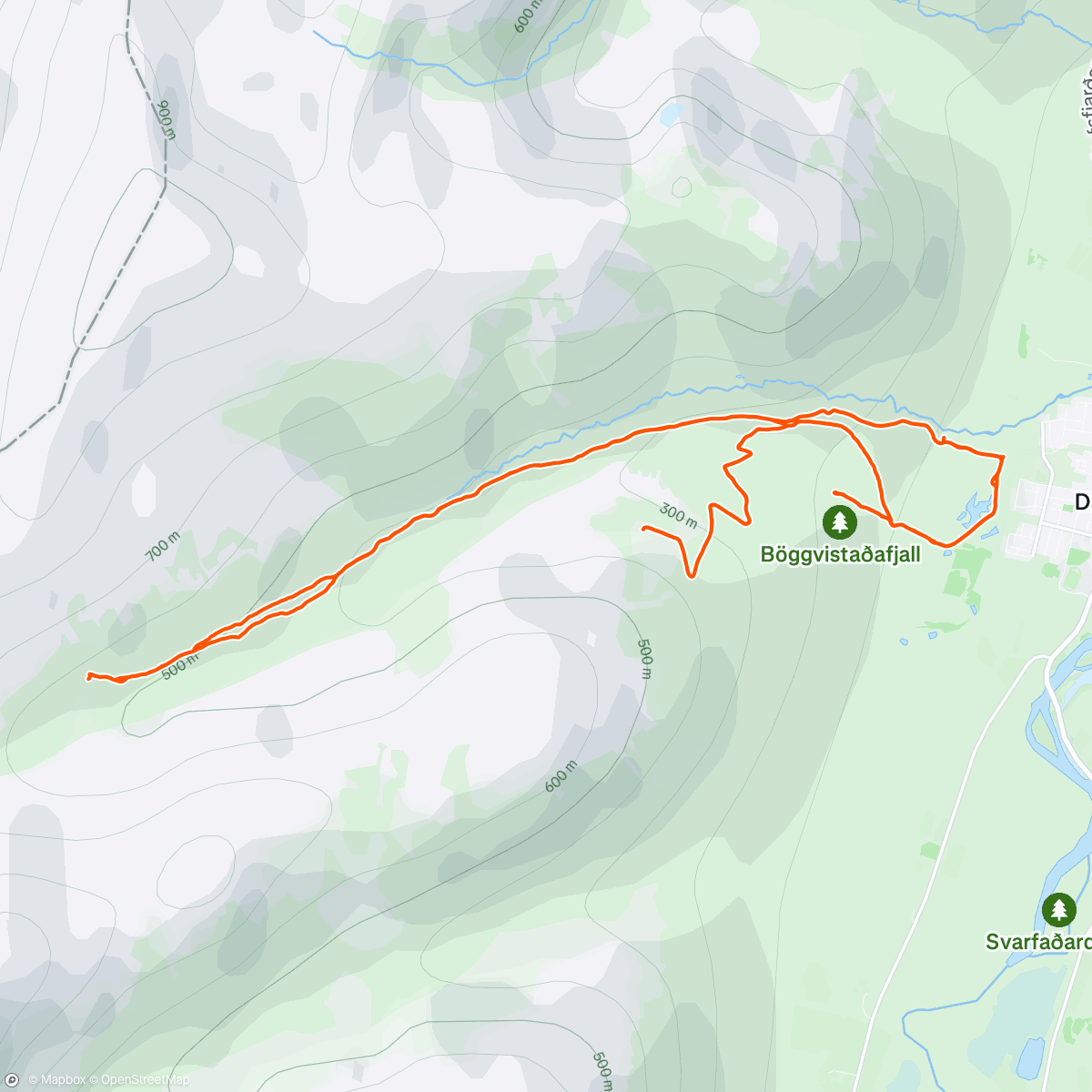 Map of the activity, Litla flow sælan👌