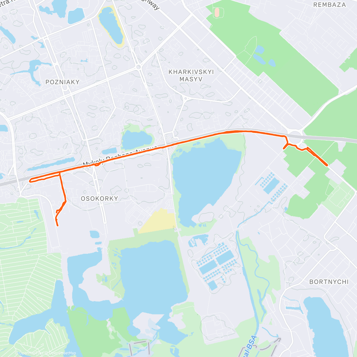Map of the activity, Evening Run