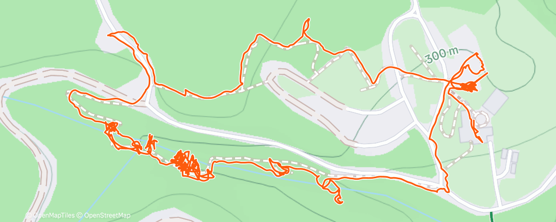Map of the activity, Afternoon Walk