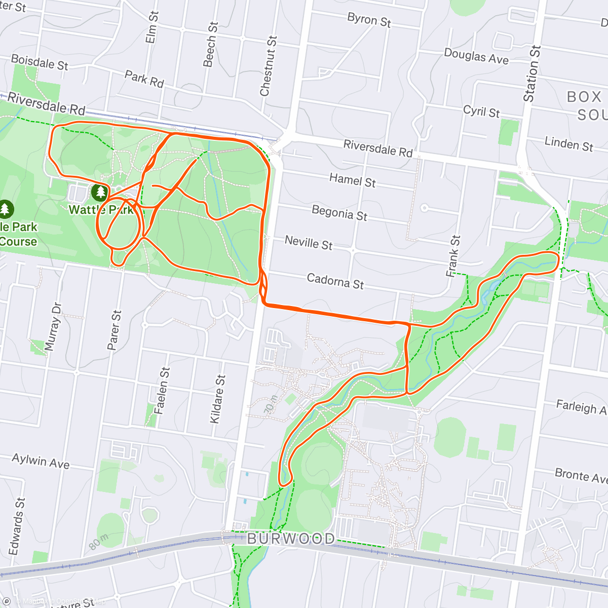 Map of the activity, Wattle