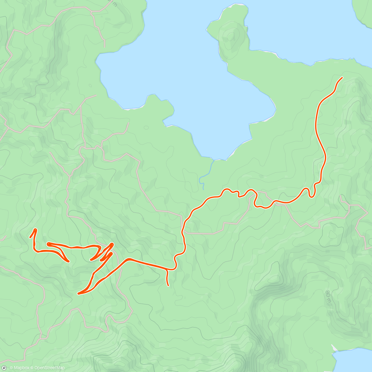 Map of the activity, Zwift - Pre-Race With Spin-Ups in Watopia