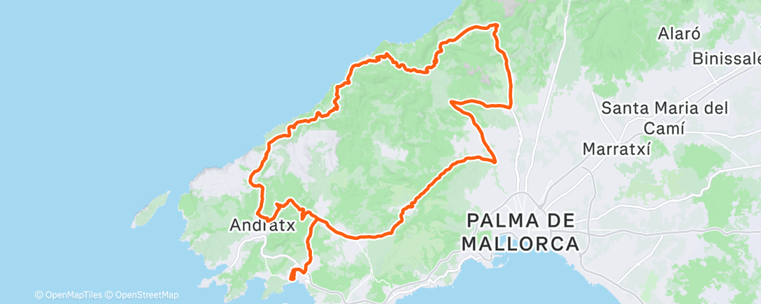 Карта физической активности (Valldemossa)