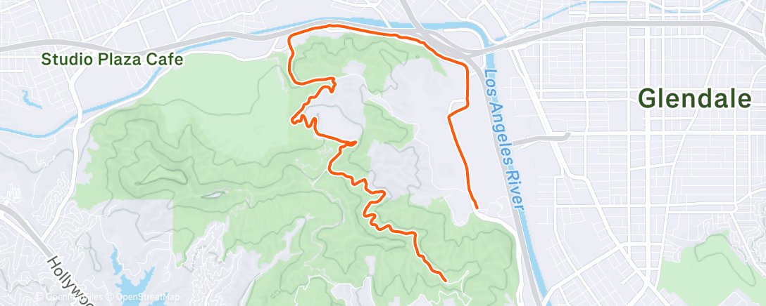 Map of the activity, MTM