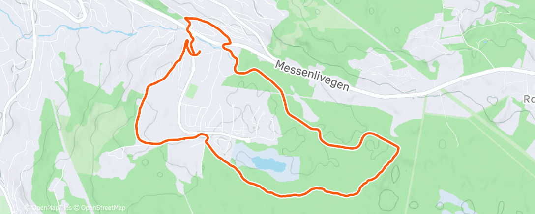 Mappa dell'attività Afternoon Run