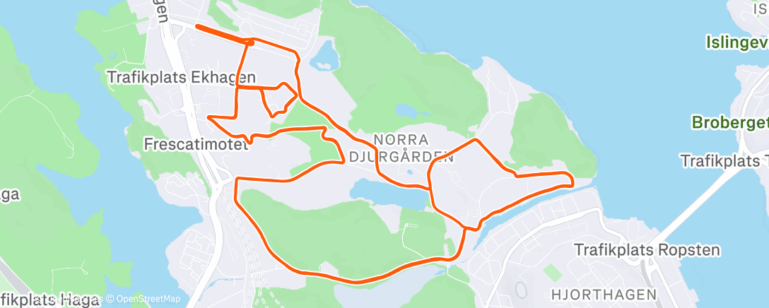 Map of the activity, Höstrusket 2025