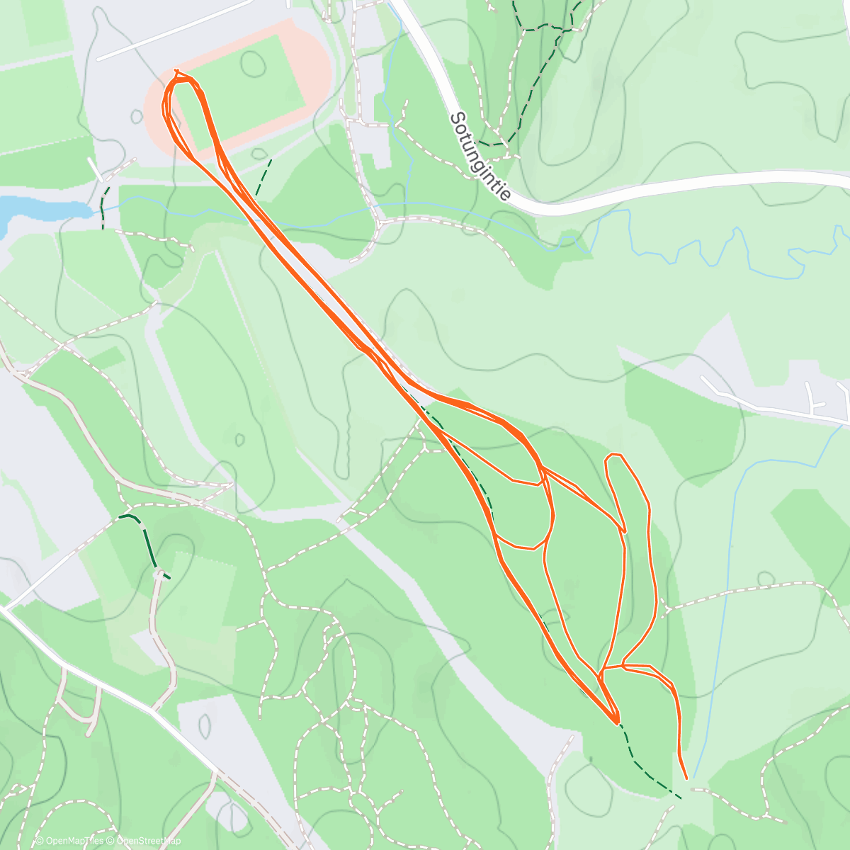 Карта физической активности (Håkansböle)