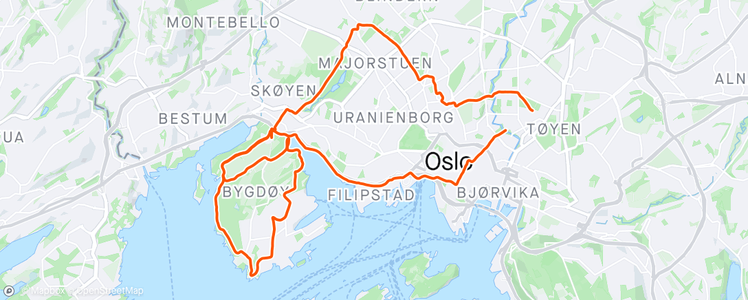 Map of the activity, Morning Run 🥳