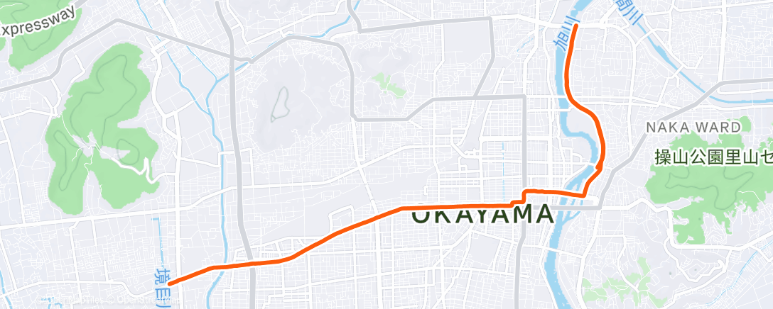 Map of the activity, 朝のランニング