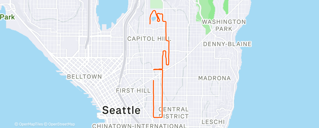Map of the activity, Strava Streak unaliveness prevention
