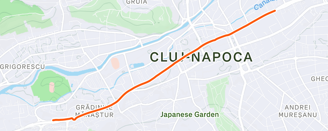 Карта физической активности (Morning Walk)