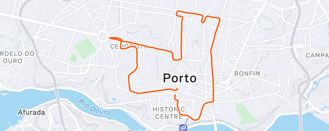 Карта физической активности (S Silvestre do Porto)