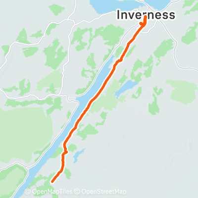 trinx folding bike review