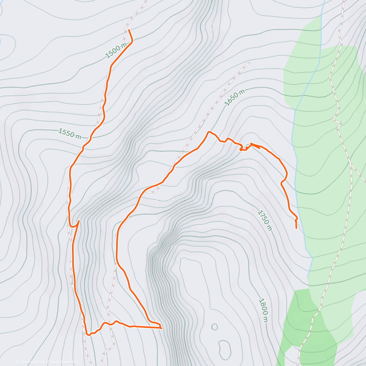 Карта физической активности (Descent from Lion King)