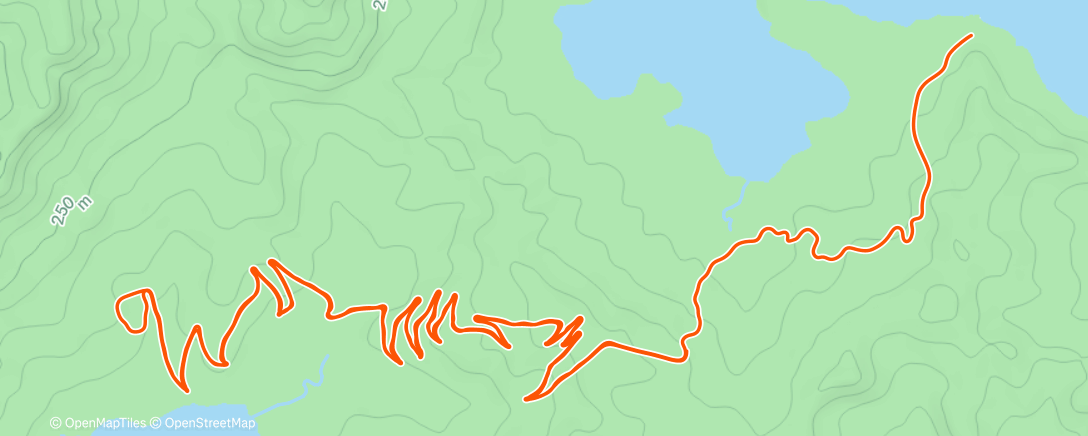 Map of the activity, Zwift - : ↓↑ ftp on Road to Sky in Watopia