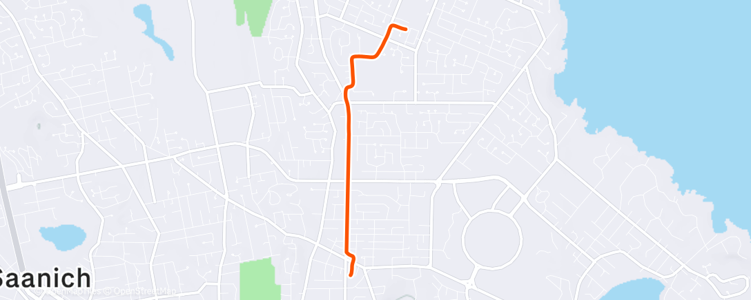 Карта физической активности (Walk home)