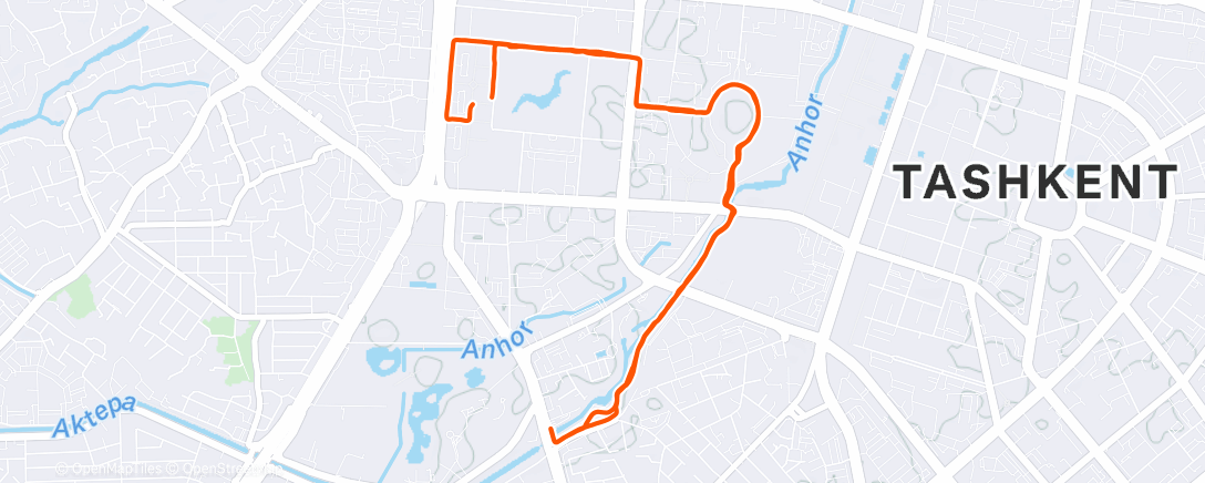 Map of the activity, Утренний забег