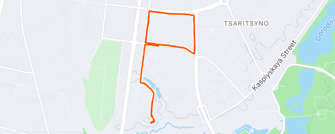 Map of the activity, Вечерний забег