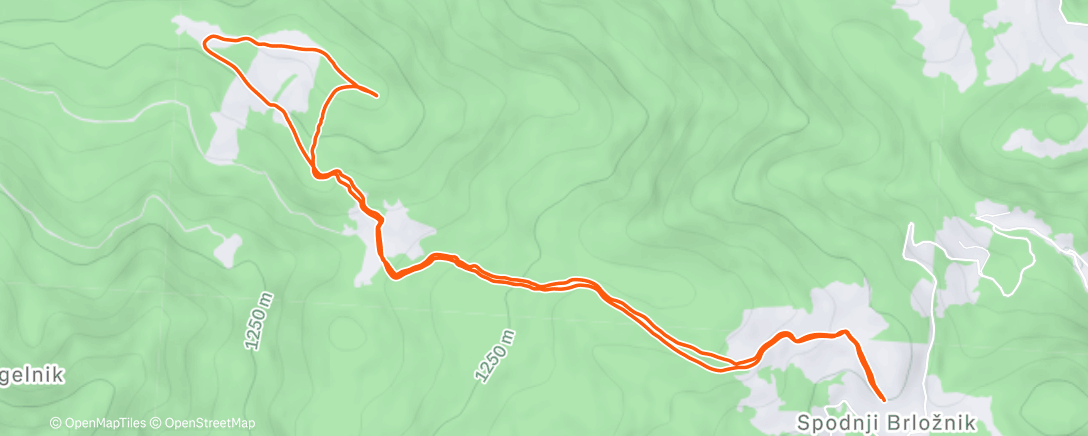 Map of the activity, Lunch Walk