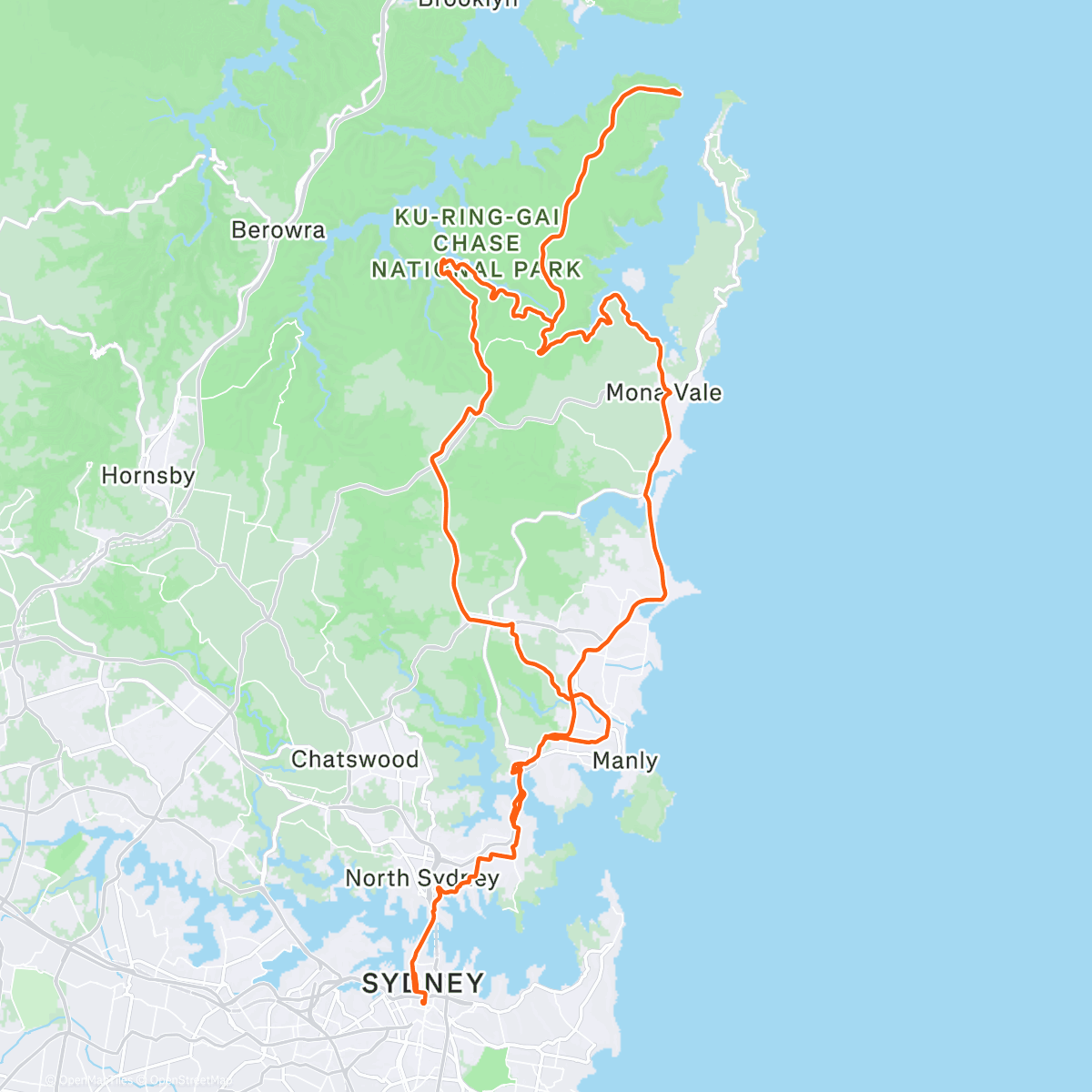 Map of the activity, sydney is wild 🦎