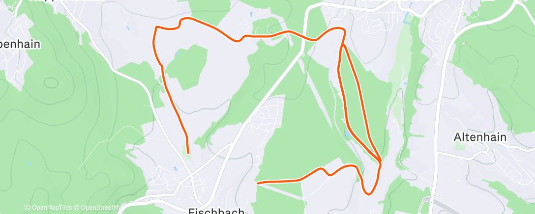 Карта физической активности (Lauf am Nachmittag)