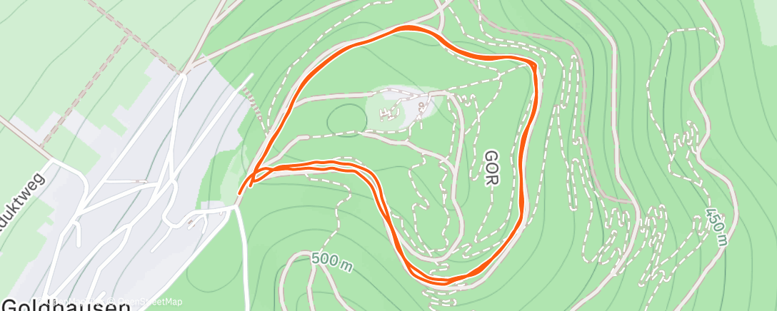 Карта физической активности (Eisenberg Neujahr-Spaziergang)