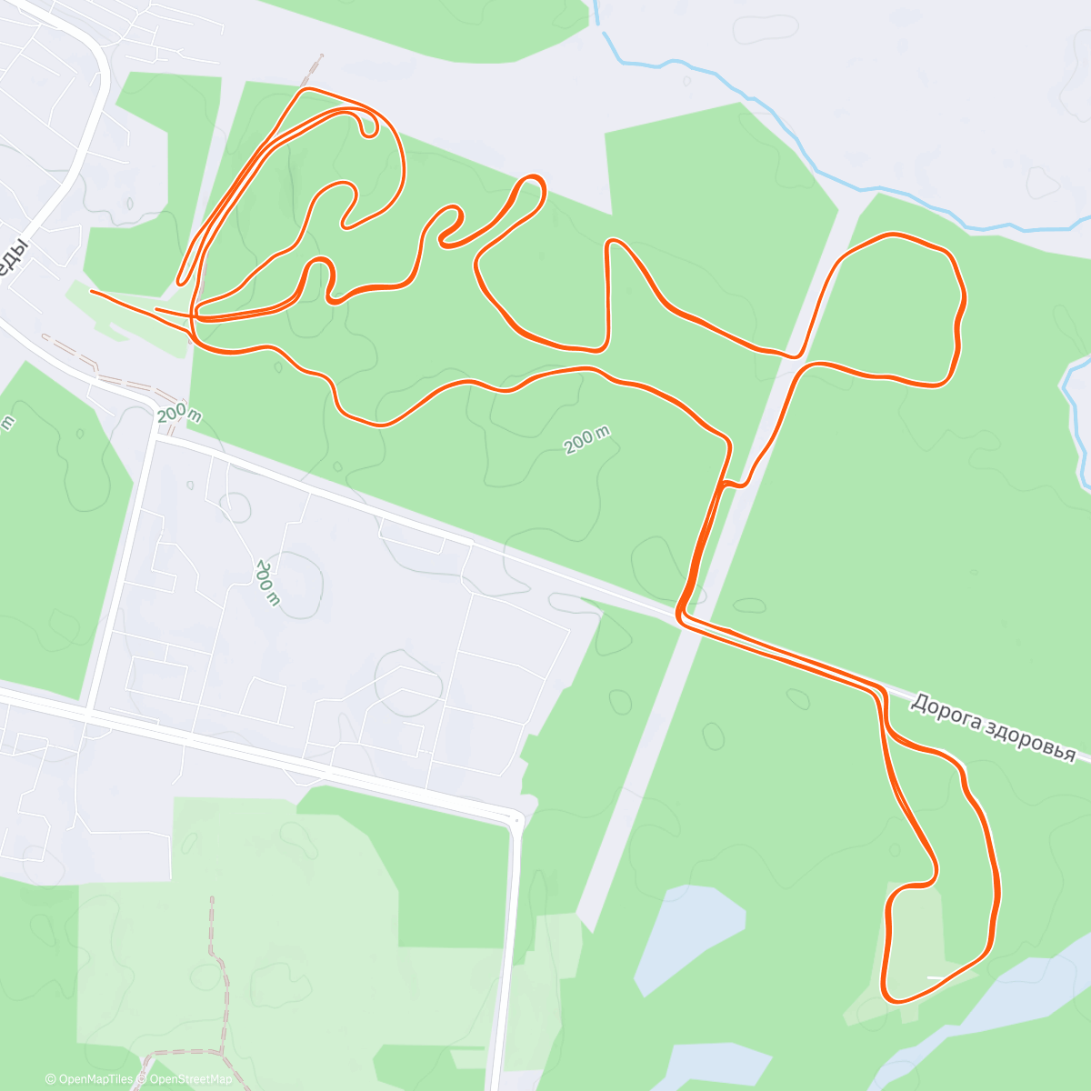 Grigoriy Aseev | Strava Runner Profile