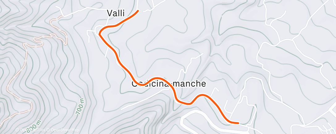 Карта физической активности (Corsa pomeridiana)