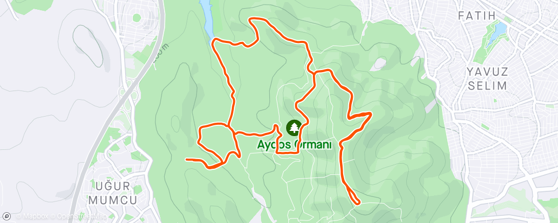 Map of the activity, Trail Run Aydos 16k