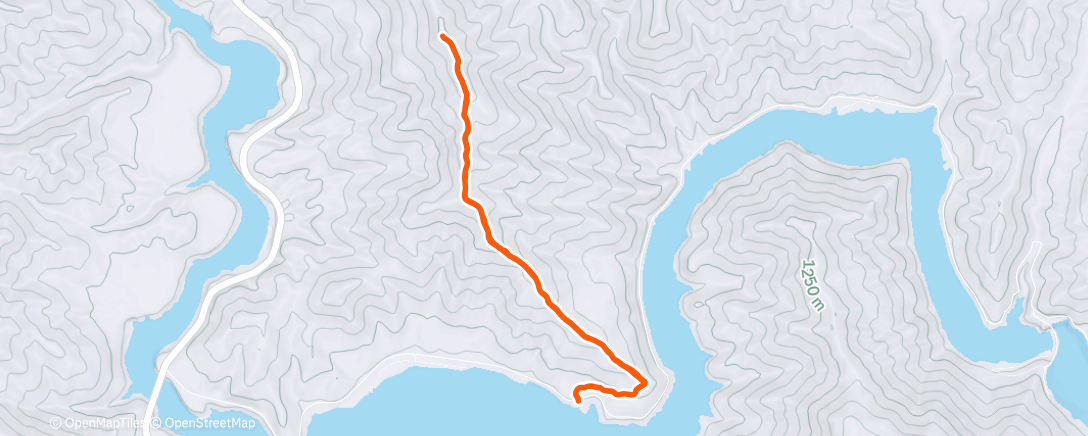 Map of the activity, Cervidae with padre