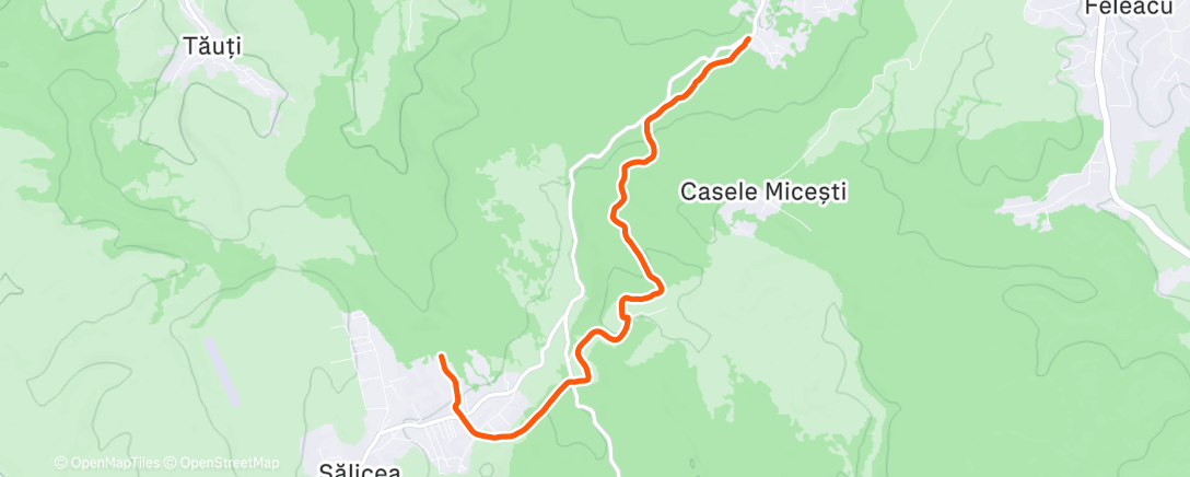 Map of the activity, Afternoon Trail Run