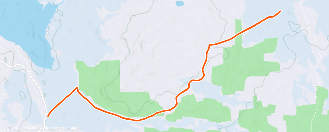 Карта физической активности (Lunch Nordic Ski)