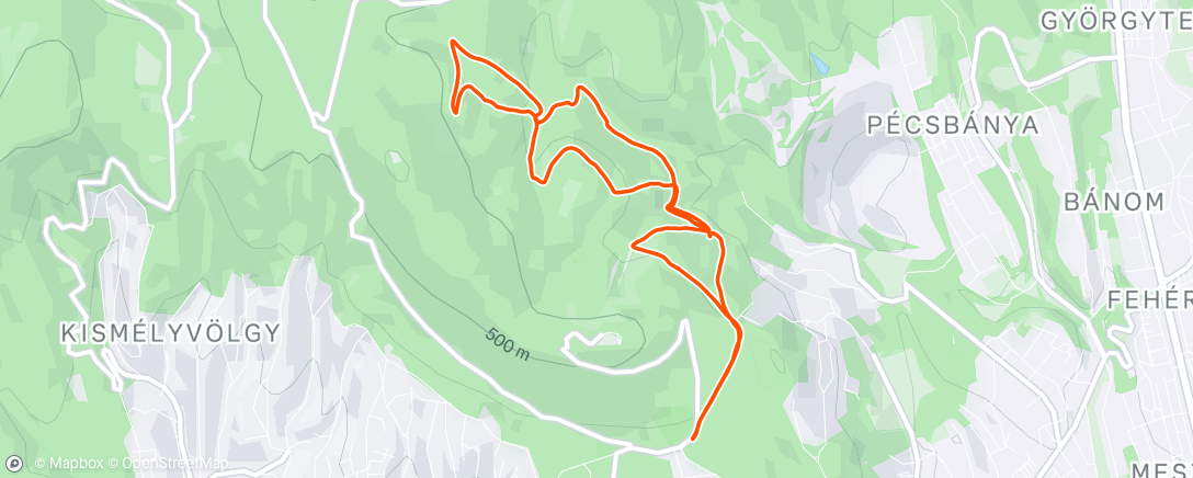 Mapa de la actividad, Afternoon Trail Run