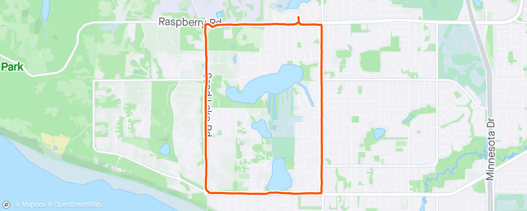 Map of the activity, A very satisfying Strava map