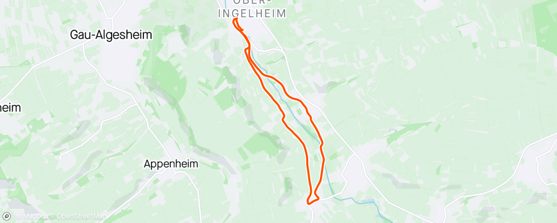 Mapa de la actividad, Bubenheimrunde 🐕‍🦺