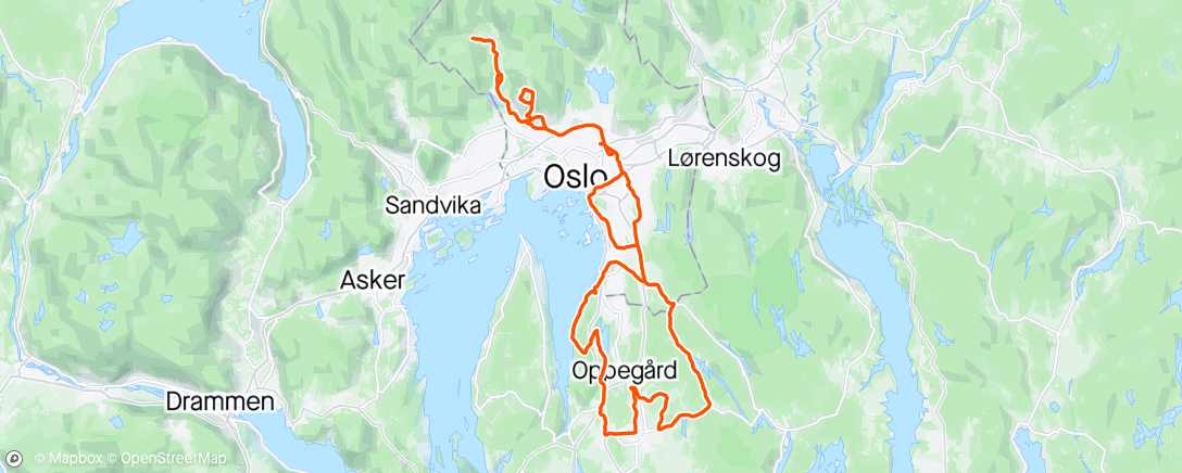 Map of the activity, 5’r i selskap