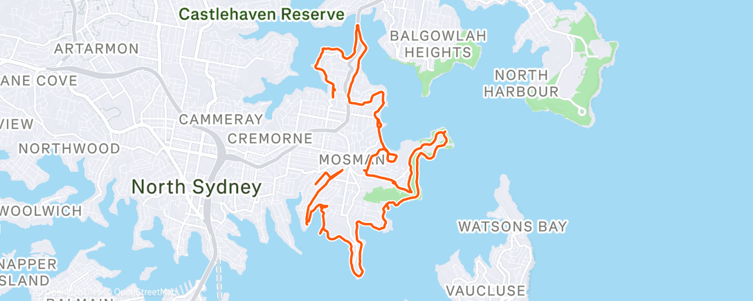 Карта физической активности (Renegade - Thin Lizzy)