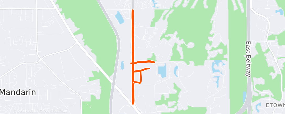 Map of the activity, Every Street - Southside Avenues