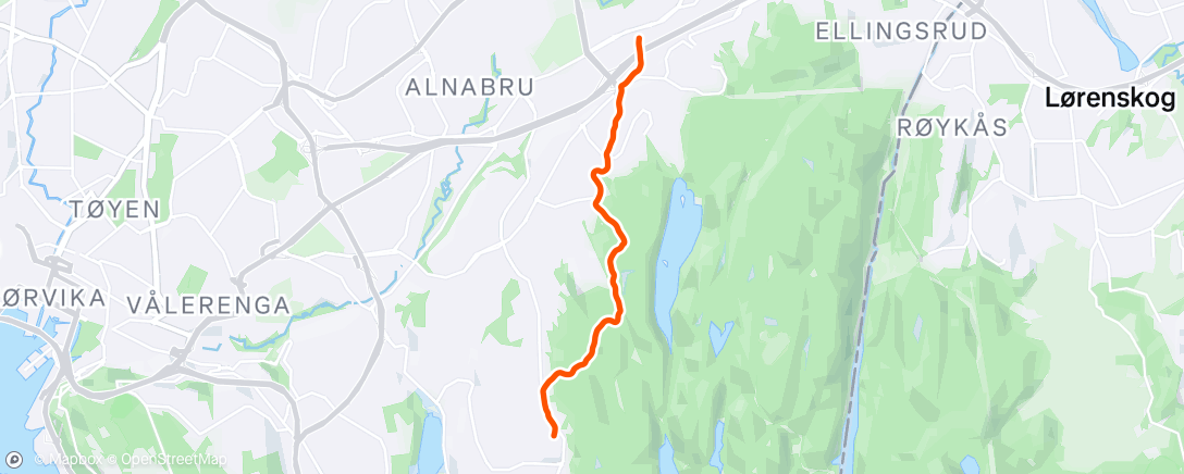 Карта физической активности (Tur ☀️)