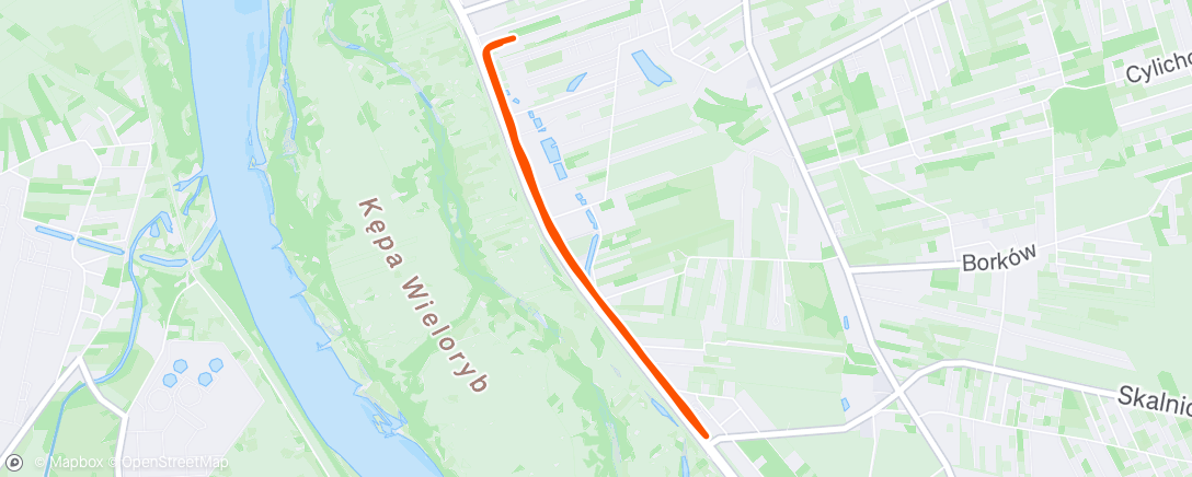 Map of the activity, Morning Run