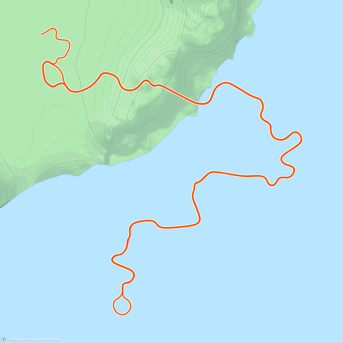 Map of the activity, Zwift - Brasstown in Watopia