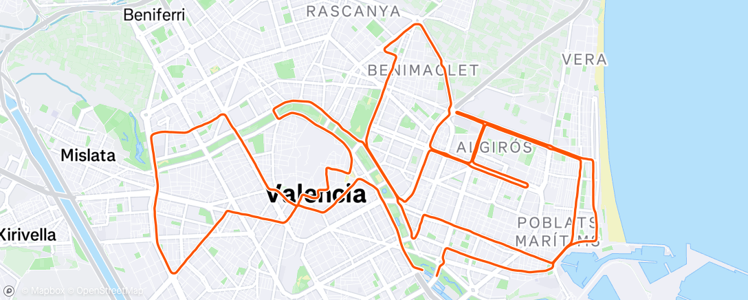 Map of the activity, Valencia Marathon 2.05.47'