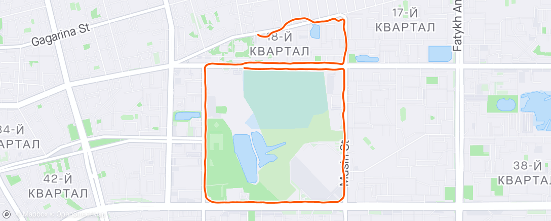 Map of the activity, Вечерний забег