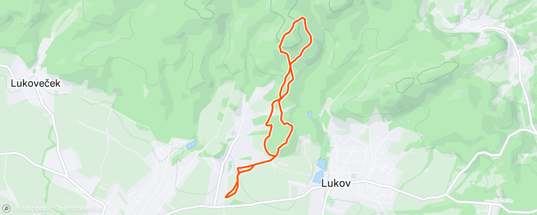 Map of the activity, Morning Trail Run