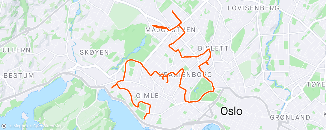 Map of the activity, Afternoon Run, Frogner stolpejakt part done.