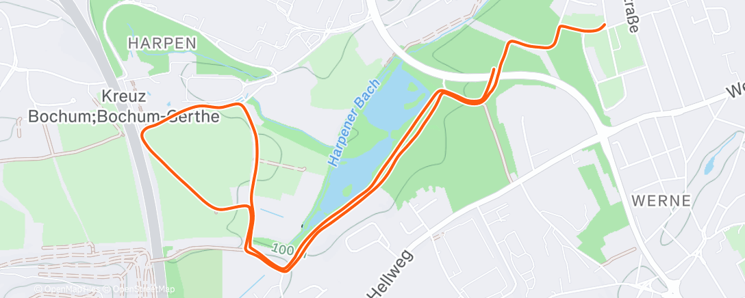 Карта физической активности (Lauf am Nachmittag)