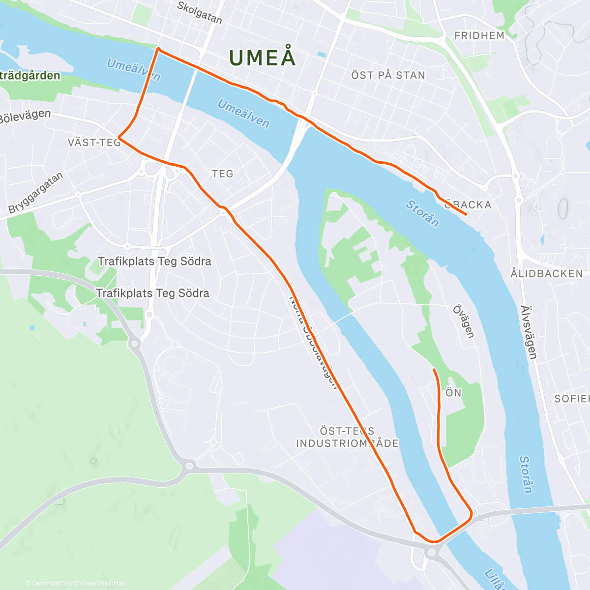 Карта физической активности (Back in Umeå 🇸🇪)