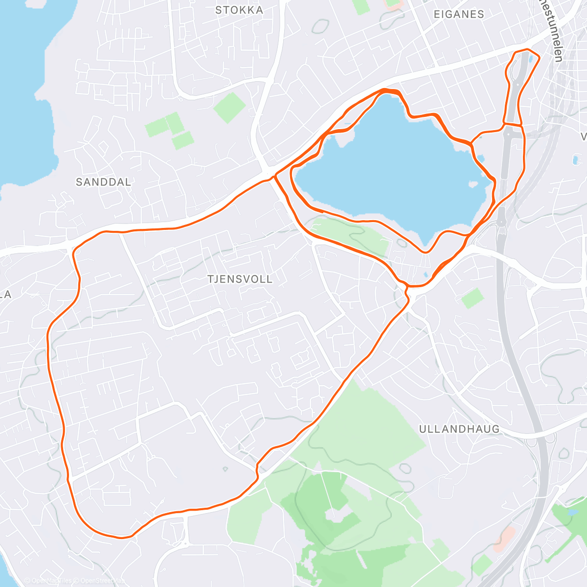 Карта физической активности (39 dager til løp)