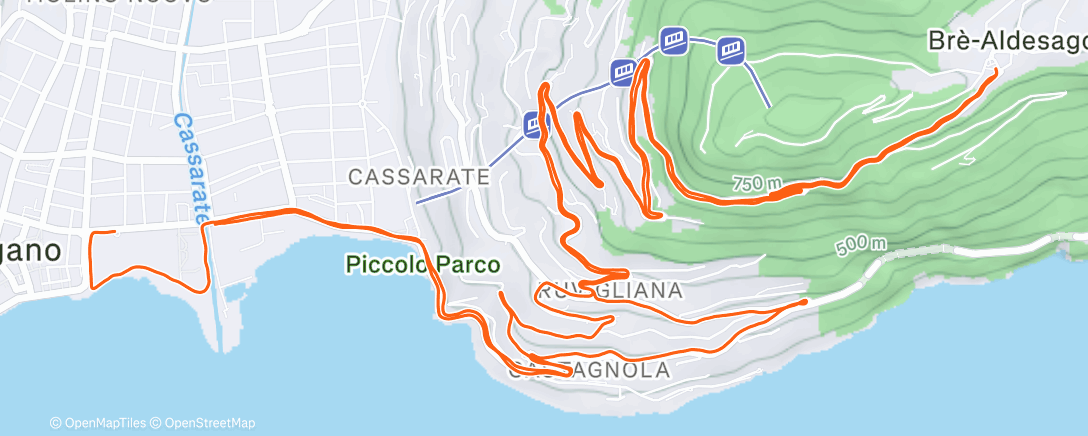 Карта физической активности (Lunch Run)